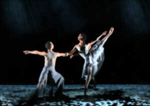 photo Le Temps d’Aimer la Danse : Ballett X Schwerin (Allemagne) - 