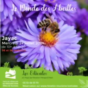 photo LES ESTIVALES : Le monde des abeilles - Jayac