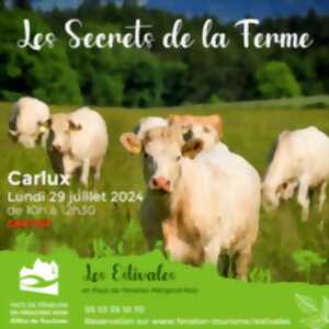 photo LES ESTIVALES : Les secrets de la ferme