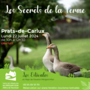photo LES ESTIVALES : Les secrets de la ferme - Prats-de-Carlux