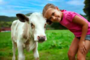 Ferme ouverte