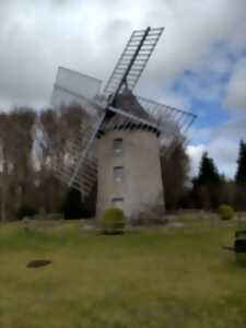 photo Balade secrète en Corrèze : De la Pierre... à la Tourbière au cours du Plateau de Millevaches