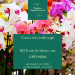 Cours de jardinage: SOS Orchidées en détresse