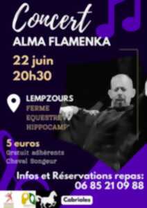 photo Concert Alma Flamenka