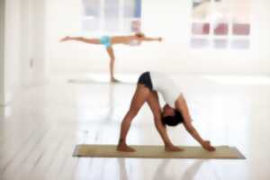 Cours de yoga découverte