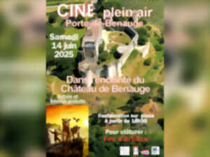 photo Ciné en plein air : Mufasa