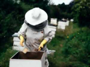 photo Découverte de l'apiculture
