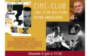 photo Ciné-club animé par Pierre Vilar : 