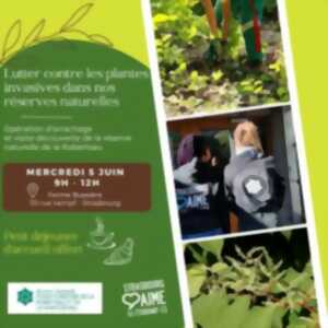 Opération étudiante: lutter contre les plantes invasives dans nos réserves naturelles