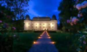 photo Concert orchestre 80 musiciens au château de l'Islette