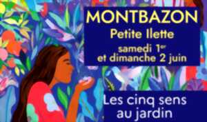 photo Rendez-vous aux jardins - Une parenthèse nature au coeur de Montbazon