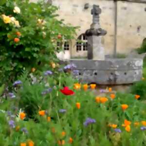 L'abbaye d'Aubazine fête son jardin