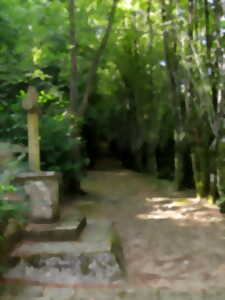 photo Balades secrètes en Corrèze - découverte de la Tourbière de la Bissière