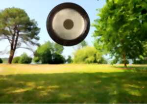 photo Bain sonore au gong et autres instruments