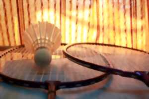 photo Eté sportif en Ouest Limousin : Jazzminton