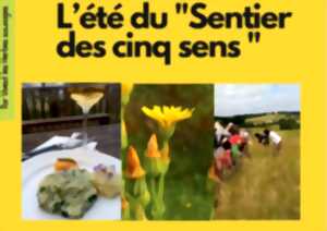 photo Le sentier des 5 sens au Domaine Les Hauts de Riquets