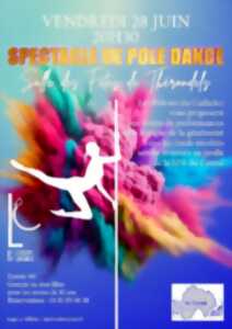photo Spectacle de pole dance