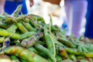 photo Marché de Saint-Macaire le jeudi et le dimanche