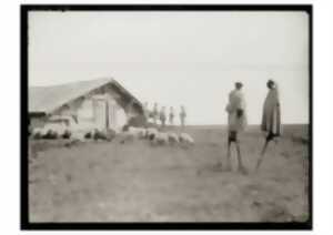 photo Exposition à la Médiathèque / Objectif paysage ou les métamorphoses des Landes