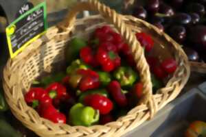 photo Marché de Producteurs - Montamisé