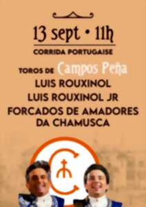 photo Corrida portugaise