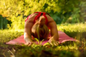 photo Yoga au jardin