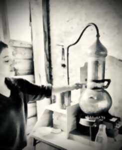 photo Visite du jardin médicinal et distillation traditionnelle