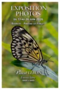 photo Exposition photos - Pascal Lebon