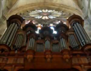 photo Les Très Riches Heures de l'Orgue en Berry
