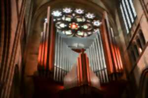 photo Concert d'Orgue - Uriel Valadeau