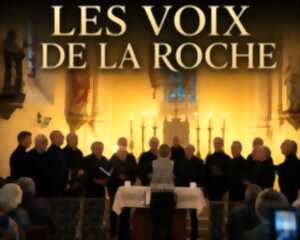 photo Les voix de la roche en concert