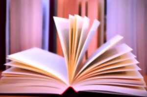 photo Lecture de poésie de Michèle Laforest