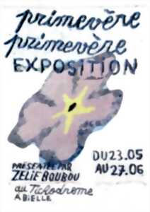 photo Exposition : Habiter le paysage, par Zélie Boubou - Trans'Humez Acte II