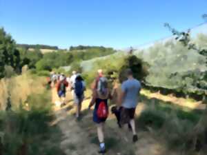 photo Route de la Pomme du Limousin - Visite verger 2025