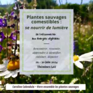 photo Stage à Thémines : arbres sauvages comestibles et médicinaux