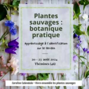 Week-end stage 