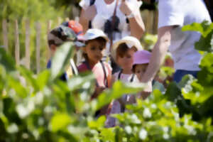 photo Les p'tits ateliers du printemps