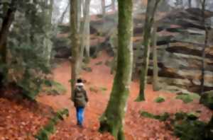 photo Marche Gourmande