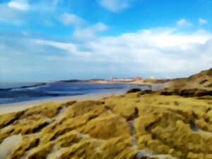 photo Mon Village Vacances - Escapade en Baie d'Authie