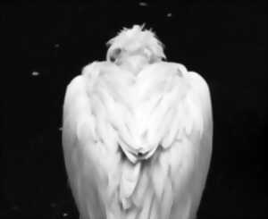 photo Drôles d’Oiseaux : une exposition mode et métiers d’art