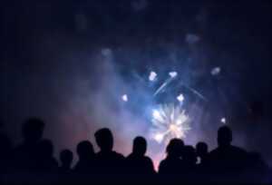 photo FEU D'ARTIFICE FETE NATIONALE BOURBONNE-LES-BAINS