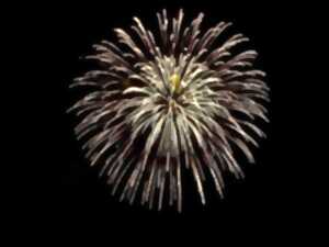 photo Feu d'artifice (Parc de la Guierle)