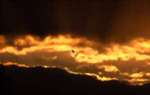 photo Exposition: Travail en cours...#4 (Chapelle Saint Libéral)