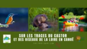 photo Sur les traces du castor et des oiseaux de la Loire en canoë