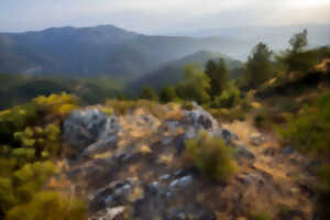 photo VISITE GUIDÉE : LES 5 TRÉSORS DES CÉVENNES