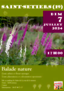 photo Balade botanique