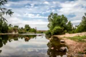 photo VISITE ARTISTIQUE DE CEYRAS