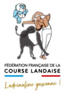 photo Séance d'entraînement de l'École Taurine de la FFCL