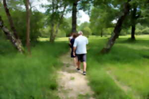 photo Été Actif - Labyrinthe végétal à Vendoire