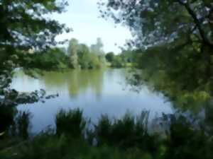 photo Au fil de l'eau